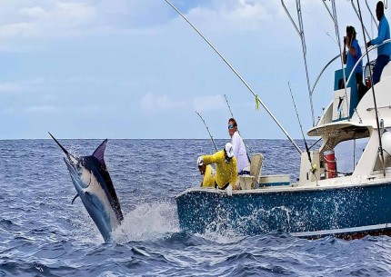 Deep Sea Fishing 